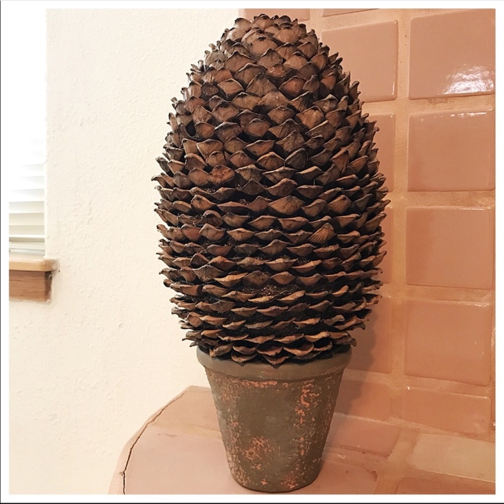 Pine Cone Topiary